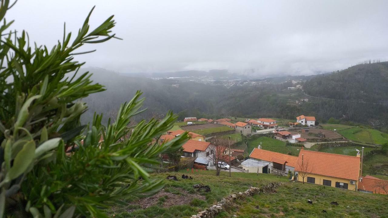Casa Da Boa Vista Em Viadal Villa Vale de Cambra Kültér fotó